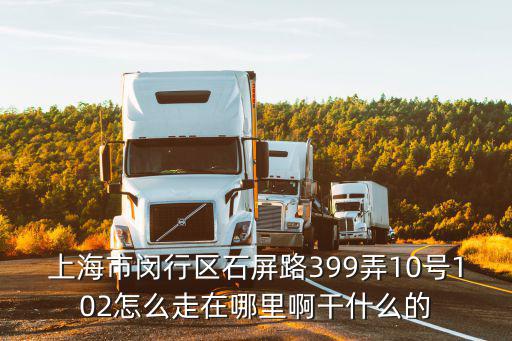 上海市閔行區(qū)石屏路399弄10號102怎么走在哪里啊干什么的
