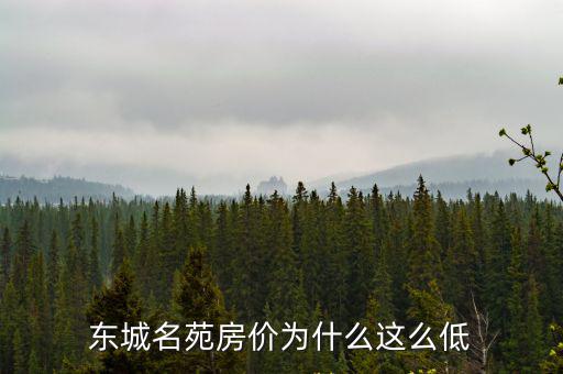 東城名苑房價為什么這么低