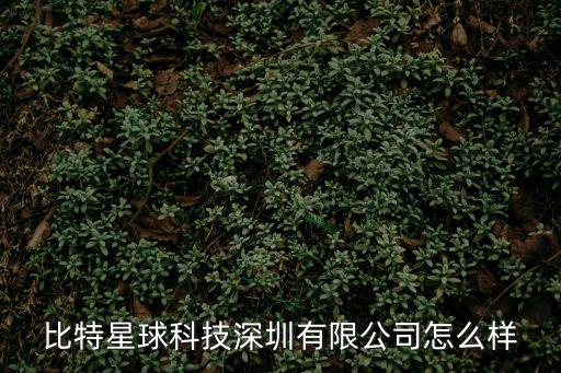深圳比特嘉世特客房，102兆比特