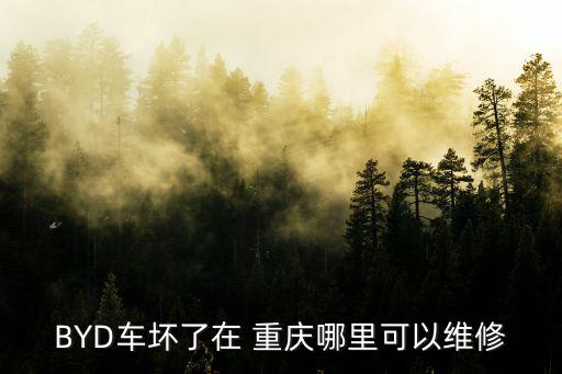 重慶市江西五十鈴售后服務在哪里，BYD車壞了在 重慶哪里可以維修