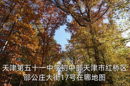 天津第五十一中學(xué)初中部天津市紅橋區(qū)邵公莊大街17號(hào)在哪地圖
