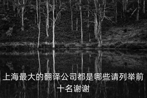 上海最大的翻譯公司都是哪些請列舉前十名謝謝