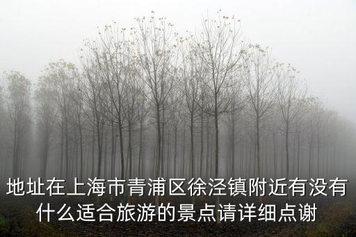 地址在上海市青浦區徐涇鎮附近有沒有什么適合旅游的景點請詳細點謝