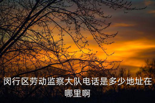 閔行區(qū)勞動監(jiān)察大隊電話是多少地址在哪里啊