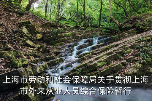 上海市勞動和社會保障局關(guān)于貫徹上海市外來從業(yè)人員綜合保險(xiǎn)暫行