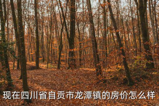 自貢哪個(gè)鎮(zhèn)房?jī)r(jià)低，現(xiàn)在四川省自貢市龍?zhí)舵?zhèn)的房?jī)r(jià)怎么樣