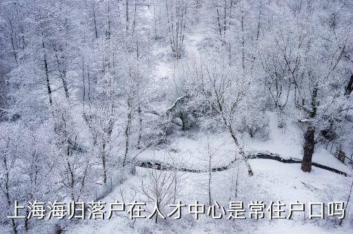 上海海歸落戶在人才中心是常住戶口嗎