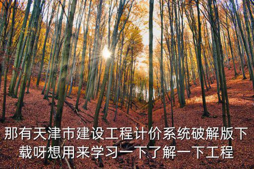 那有天津市建設工程計價系統破解版下載呀想用來學習一下了解一下工程