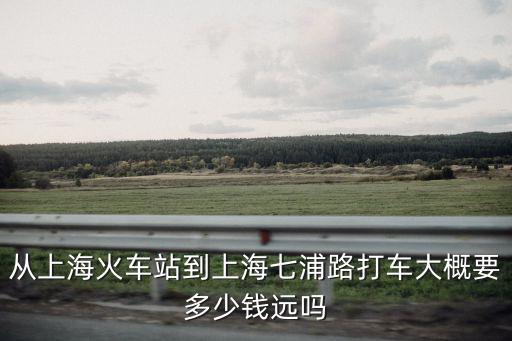 從上?；疖囌镜缴虾Ｆ咂致反蜍嚧蟾乓嗌馘X遠嗎