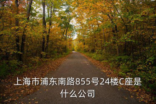 上海市浦東南路855號24樓C座是什么公司