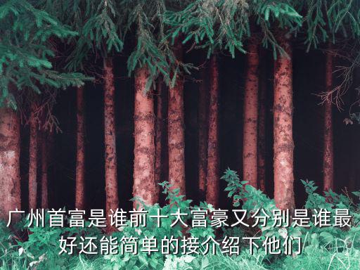 廣州首富是誰前十大富豪又分別是誰最好還能簡單的接介紹下他們