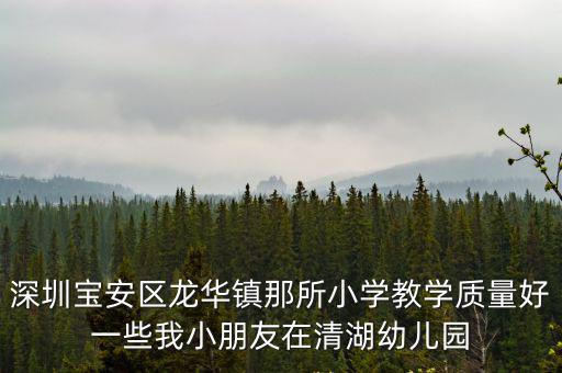 深圳寶安區龍華鎮那所小學教學質量好一些我小朋友在清湖幼兒園