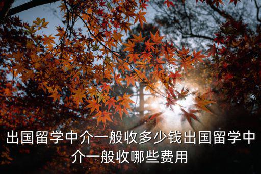 出國留學中介一般收多少錢出國留學中介一般收哪些費用