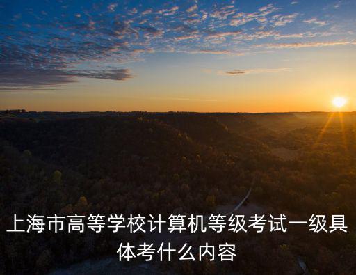 上海市高等學校計算機等級考試一級具體考什么內容
