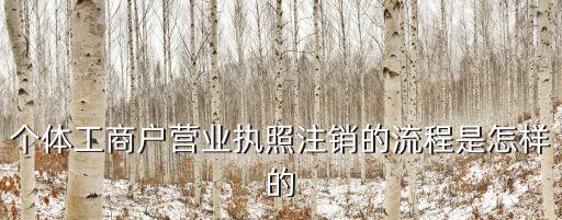 個體工商戶營業執照注銷的流程是怎樣的