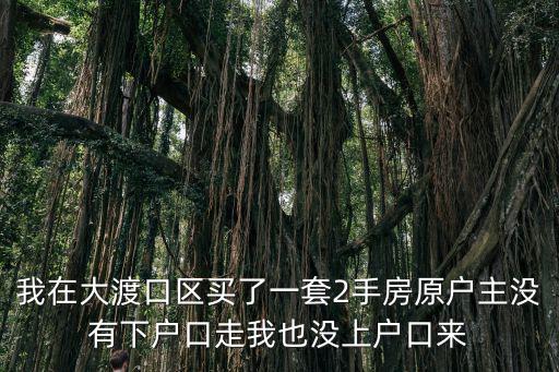 我在大渡口區(qū)買了一套2手房原戶主沒有下戶口走我也沒上戶口來
