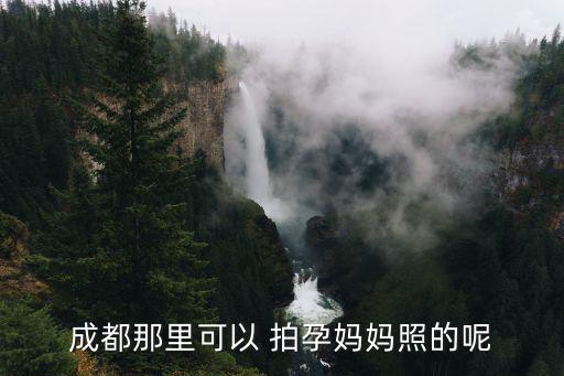 成都那里可以 拍孕媽媽照的呢