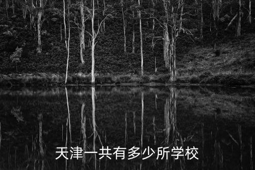 天津一共有多少所學校