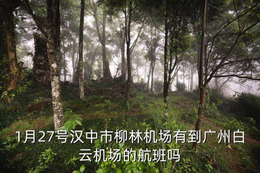 1月27號漢中市柳林機場有到廣州白云機場的航班嗎