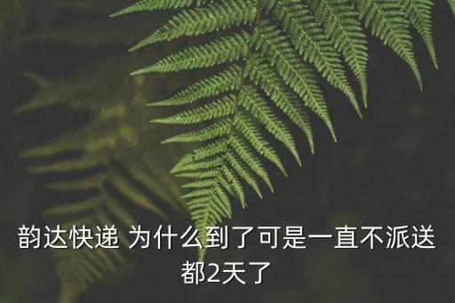 韻達快遞 為什么到了可是一直不派送都2天了