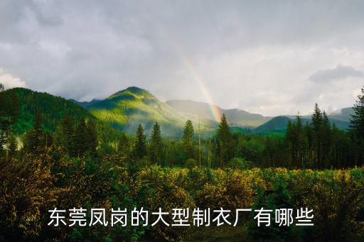 東莞鳳崗的大型制衣廠有哪些