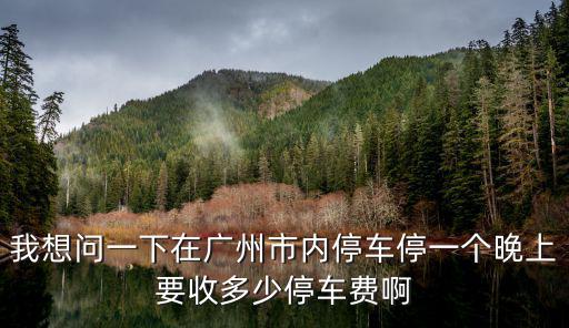 我想問(wèn)一下在廣州市內(nèi)停車停一個(gè)晚上要收多少停車費(fèi)啊