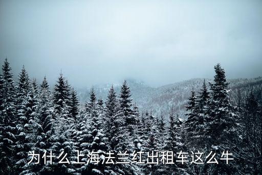 為什么上海法蘭紅出租車這么牛