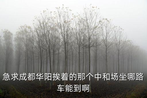 成都市一醫院到中和鎮公交車，請問四川省第一人民醫院座公交車怎么去啊我只知道在高新區高新管委會附