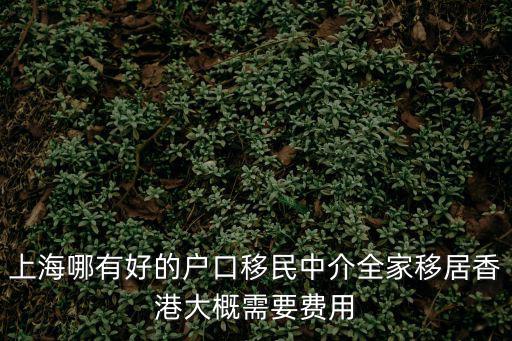上海哪有好的戶口移民中介全家移居香港大概需要費用
