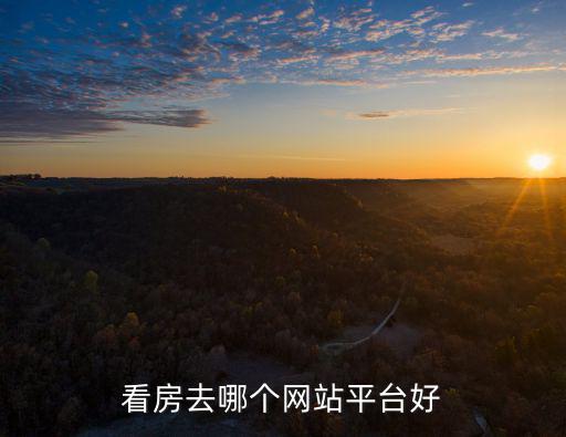 看房去哪個網站平臺好