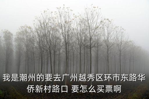我是潮州的要去廣州越秀區(qū)環(huán)市東路華僑新村路口 要怎么買票啊