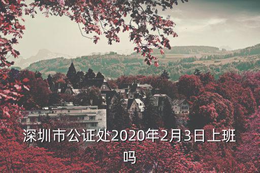 深圳市公證處2020年2月3日上班嗎