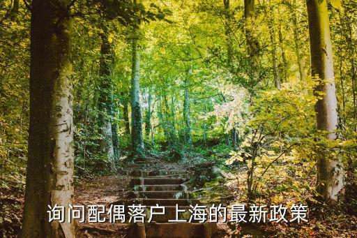 上海配偶隨遷落戶政策2021，詢問配偶落戶上海的最新政策