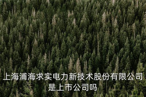 上海浦海求實電力新技術股份有限公司是上市公司嗎
