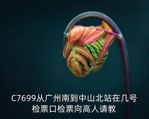 c7619廣州南檢票口在哪里，c7669廣州南站哪個檢票口是