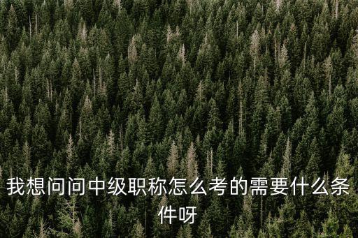 如何報考中級職稱，我想問問中級職稱怎么考的需要什么條件呀