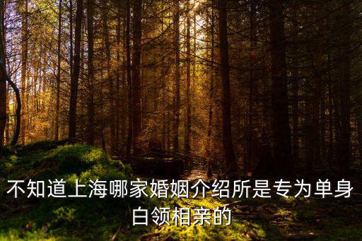 不知道上海哪家婚姻介紹所是專為單身白領相親的