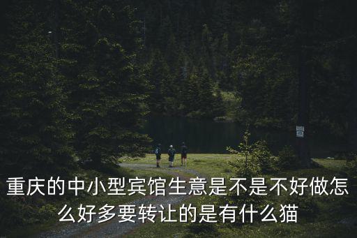 重慶的中小型賓館生意是不是不好做怎么好多要轉讓的是有什么貓