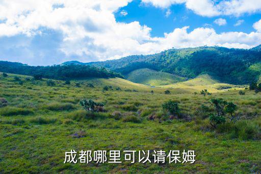 成都哪里可以請保姆