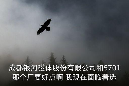 成都銀河磁體股份有限公司和5701那個廠要好點啊 我現在面臨著選