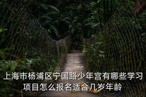 上海市楊浦區(qū)寧國路少年宮有哪些學習項目怎么報名適合幾歲年齡