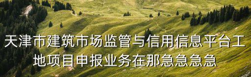 天津市建筑市場監管與信息信用平臺，為什么天津市建筑市場監管與信息平臺進不去呢