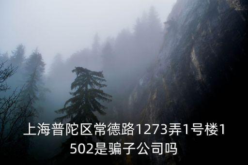 上海普陀區(qū)常德路1273弄1號樓1502是騙子公司嗎