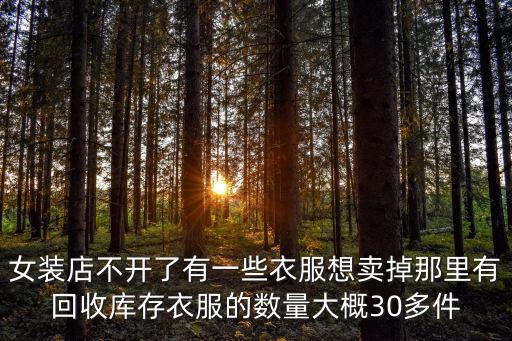 女裝店不開了有一些衣服想賣掉那里有回收庫存衣服的數量大概30多件