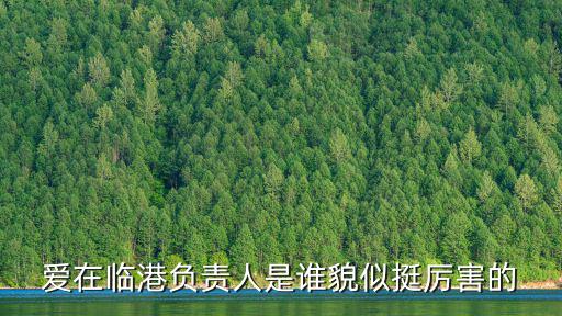 愛在臨港負責人是誰貌似挺厲害的
