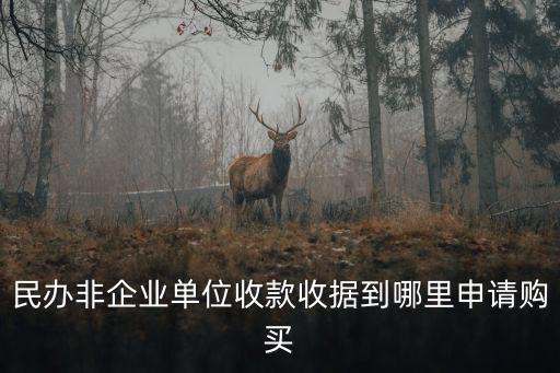 民辦非企業(yè)單位收款收據(jù)到哪里申請購買