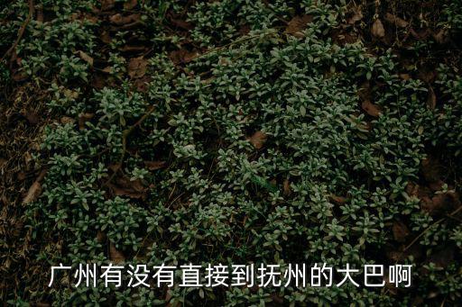 廣州有沒有直接到撫州的大巴啊