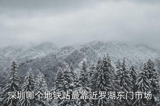 深圳東門一條街地鐵站哪個近，深圳哪個地鐵站最靠近羅湖東門市場