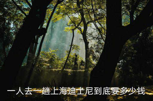 上海迪士尼年卡價格，迪斯尼英語一年的價格是多少兩萬元夠嗎