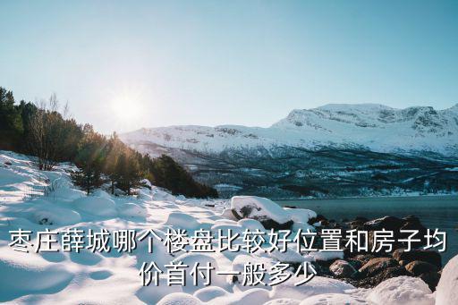 棗莊薛城哪個樓盤比較好位置和房子均價首付一般多少